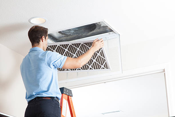 Best HVAC Air Duct Cleaning  in Ronceverte, WV